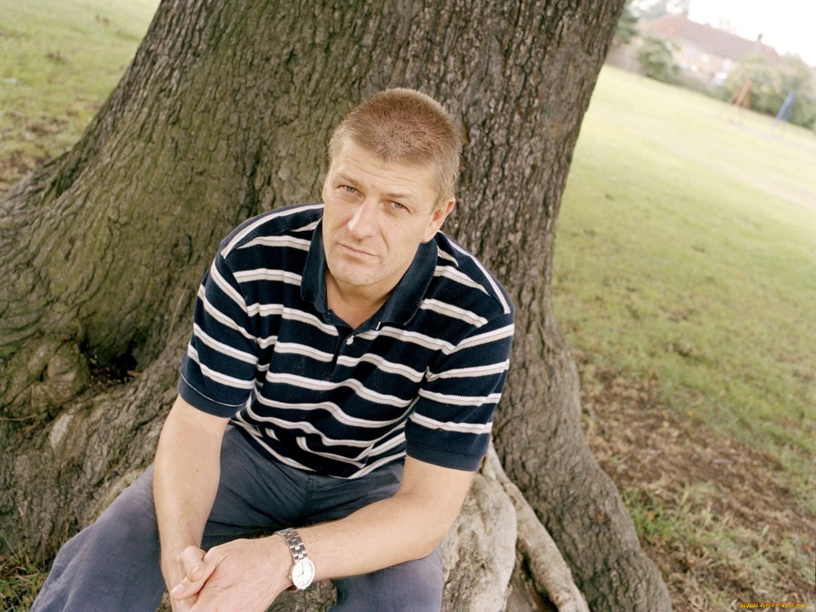 sean, bean, 